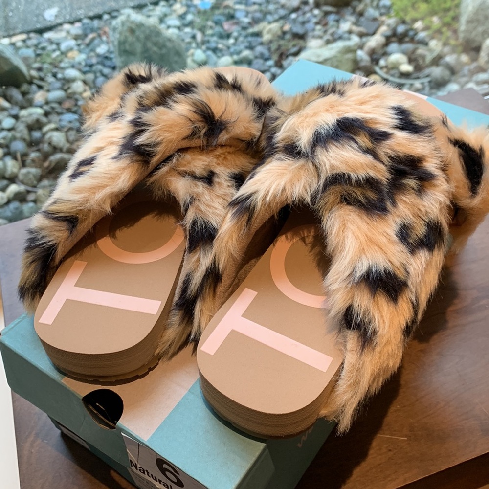TOMS - Picture 2 of 7